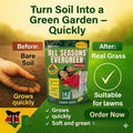 All Seasons every green gross seeds - For beautyfull green Lawn